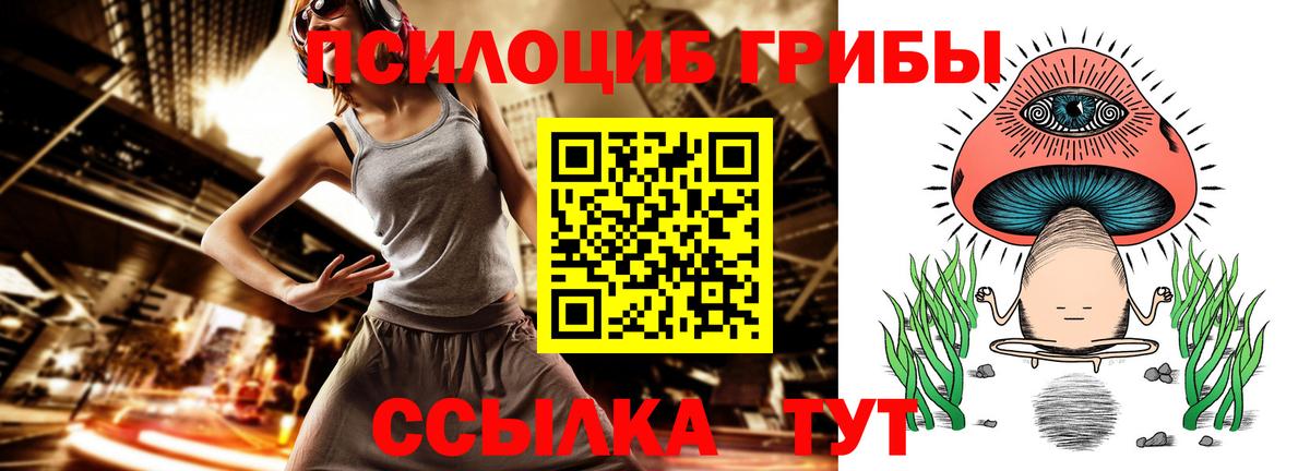 Бугуруслан  Галлюциногенные грибы Psilocybine cubensis  Вход с VPN 